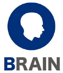 brain